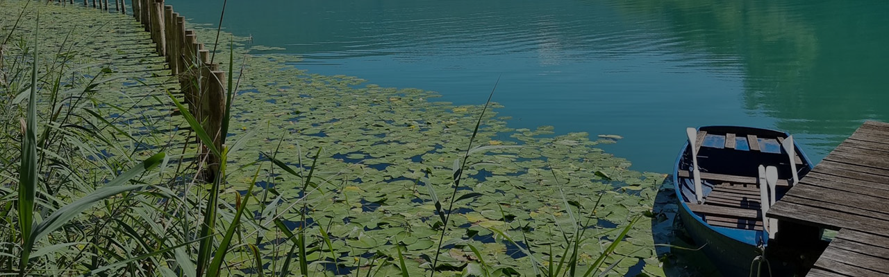 Le méthane dans les milieux aquatiques : un nouvel outil de mesure in situ à haute résolution